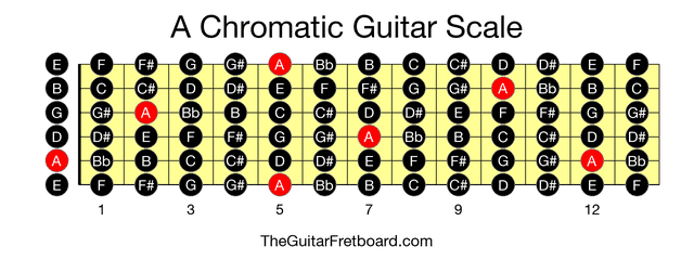 Full guitar fretboard for A Chromatic scale