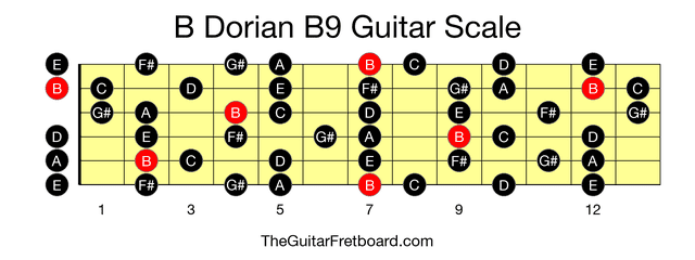 Full guitar fretboard for B Dorian B9 scale