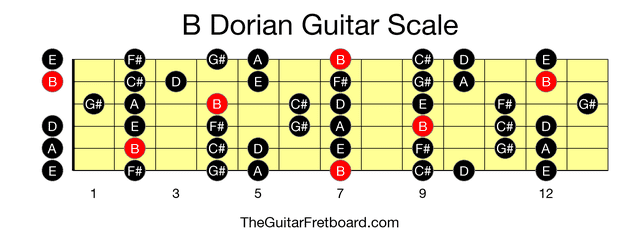 Full guitar fretboard for B Dorian scale