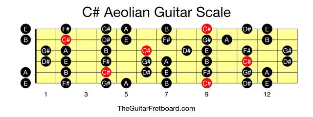 Full guitar fretboard for C# Aeolian scale