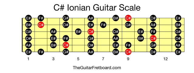Full guitar fretboard for C# Ionian scale