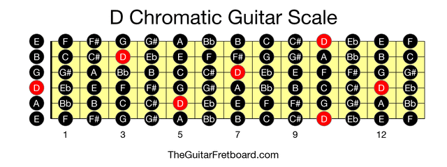Full guitar fretboard for D Chromatic scale