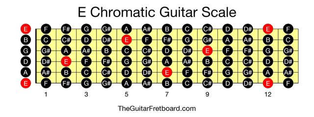 Full guitar fretboard for E Chromatic scale
